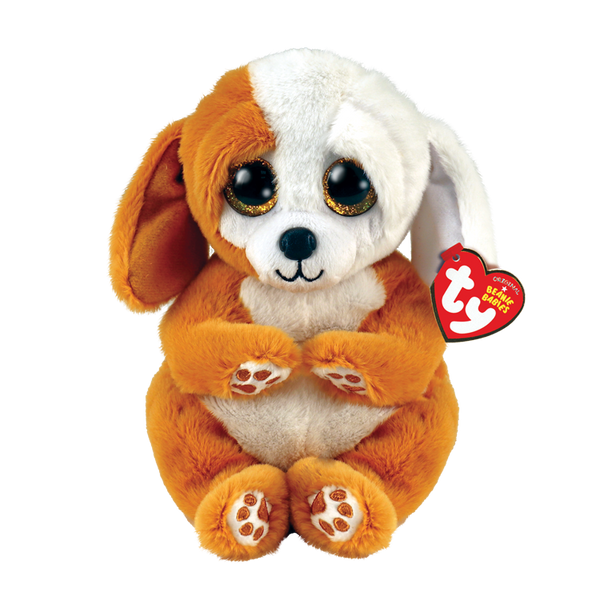 【Beaniebaby】ジュエルオーキッドアネクトキルス&マコデスペトラ ジュエルオーキッド（マコデス・ペトラ）Baby | 観葉植物の通販 AND