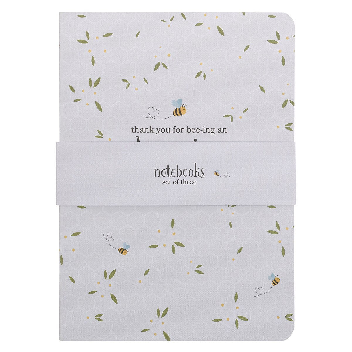 Amazing Teacher 3pc Notebook Set