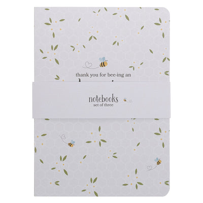 Amazing Teacher 3pc Notebook Set