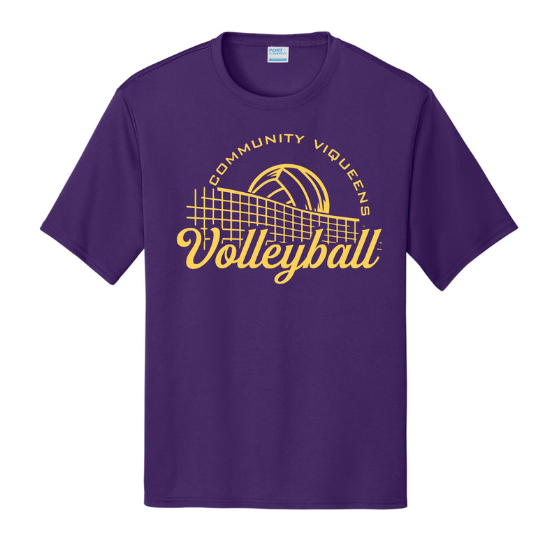 Viqueens Volleyball Community w/ Net Design