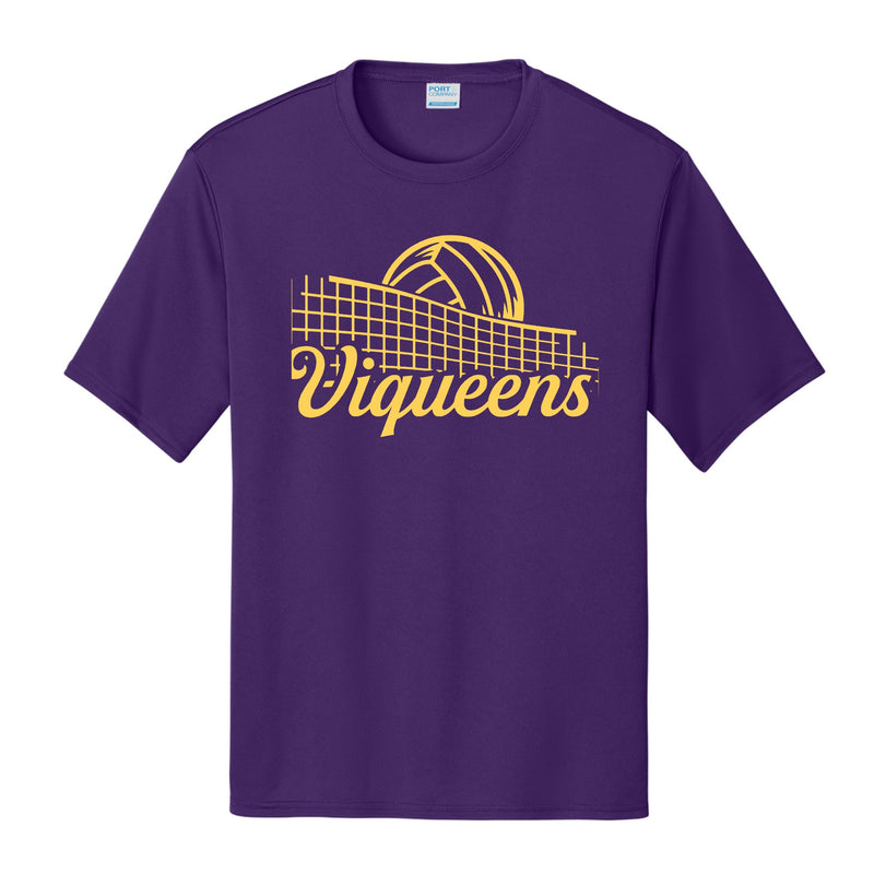 Viqueens Volleyball Net Design
