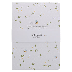 Amazing Teacher 3pc Notebook Set