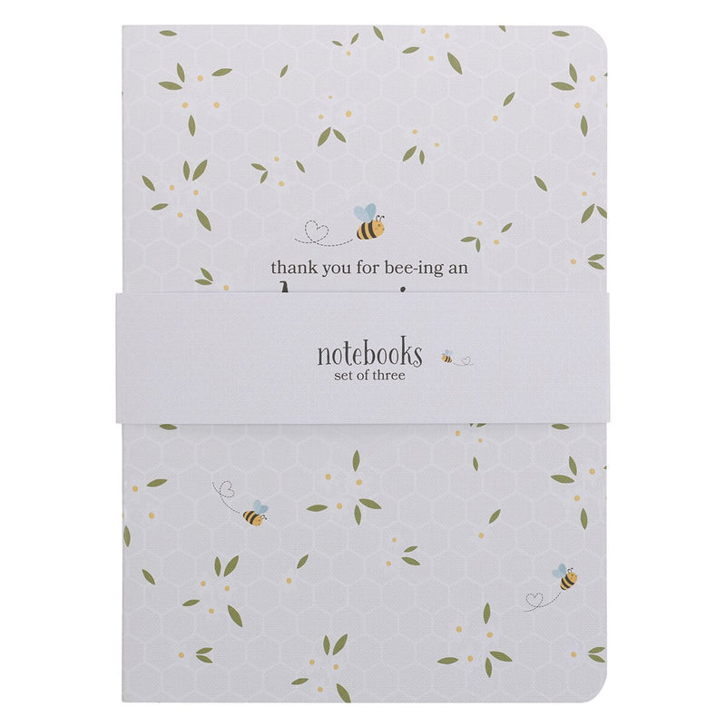 Amazing Teacher 3pc Notebook Set