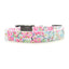 Spring Flowers Dog Collar - Monogrammed