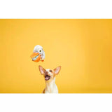 Bark Big Bill & Beak-A-Boo Fish Dog Toy