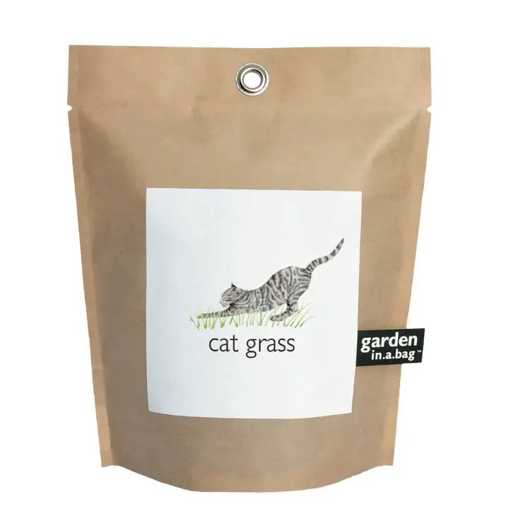 Garden in a Bag- Cat Grass
